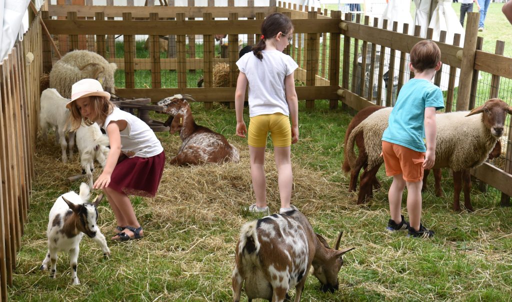 Journées Grand Angle et La Ferme grandeur nature d’Agrial