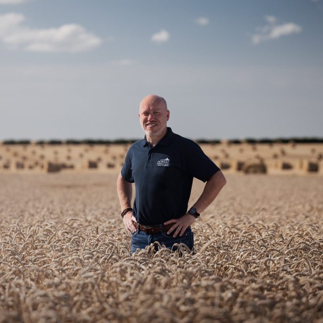 Collaborateur d'Agrial, dans la branche Agriculture. Homme avec un polo Agrial dans un champ de blé avant la moisson. Collaborateur d'Agrial, dans la branche Agriculture. Homme avec un polo Agrial dans un champ de blé avant la moisson.