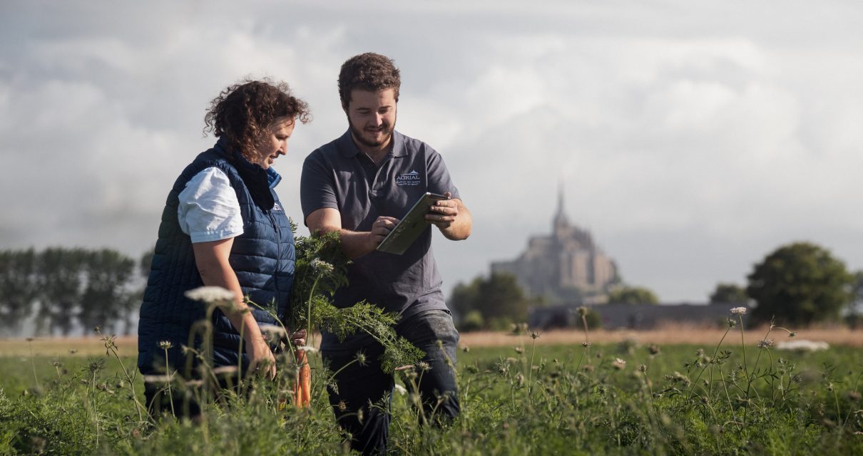 Un adhérent et sa conseillère dans un champ de carottes près du Mont-Saint-Michel, que l'on devienne flouté dans le fond Un adhérent et sa conseillère dans un champ de carottes près du Mont-Saint-Michel, que l'on devienne flouté dans le fond