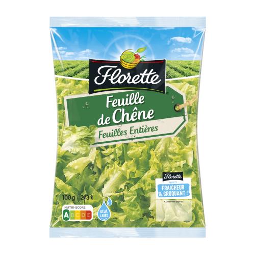 Petite Feuille de chêne verte entière Petite Feuille de chêne verte entière